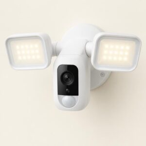 Floodlight Outdoor Security Camera